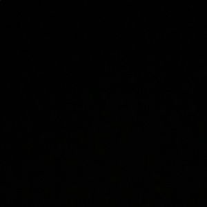 Meet your Posher, Lia